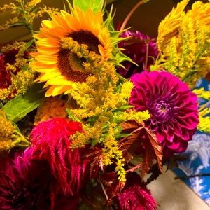 Meet your Posher, Danielle